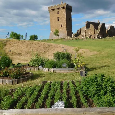 Holiday home Evasion Au Coeur De : Charme Et Confort A Deux Pas Du Puy-en-velay - Fr-1-582-382 *