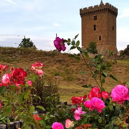Holiday home Evasion Au Coeur De : Charme Et Confort A Deux Pas Du Puy-en-velay - Fr-1-582-382 *