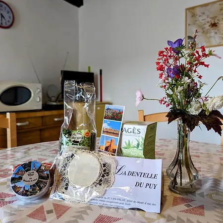 Evasion Au Coeur De : Charme Et Confort A Deux Pas Du Puy-en-velay - Fr-1-582-382 *