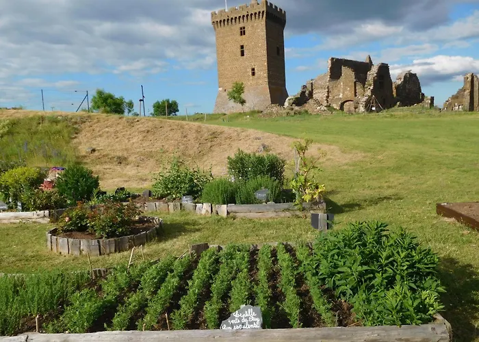 別荘 Evasion Au Coeur De : Charme Et Confort A Deux Pas Du Puy-en-velay - Fr-1-582-382 *