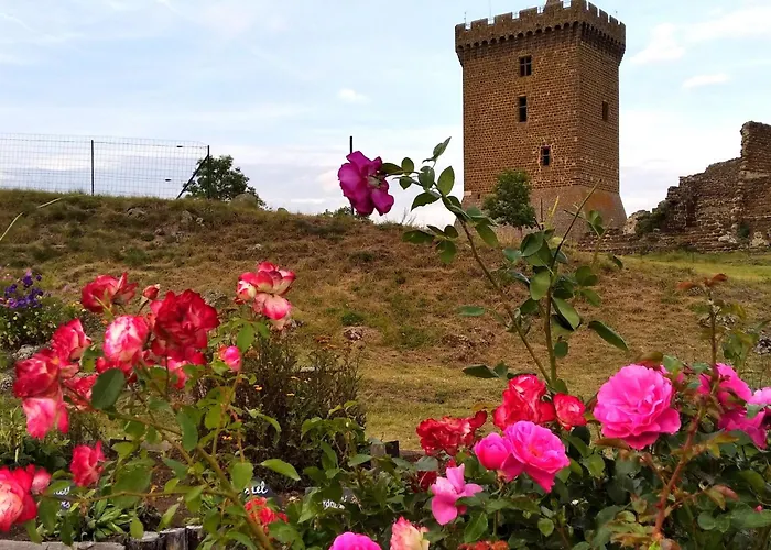別荘 Evasion Au Coeur De : Charme Et Confort A Deux Pas Du Puy-en-velay - Fr-1-582-382 *
